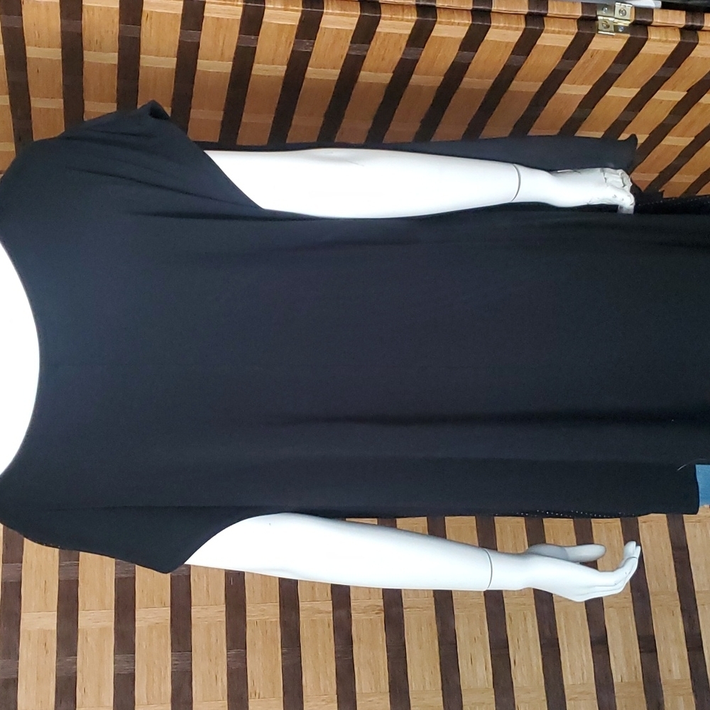 Lane Bryant Stud with Chiffon overlay one side - Picture 9 of 13
